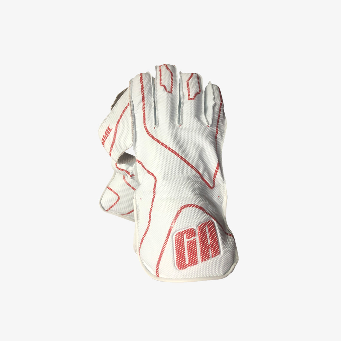 Wicket Keeping Gloves GA