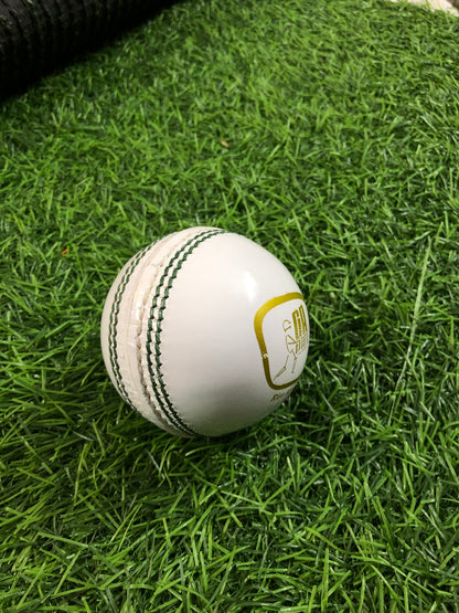 GA Practice White Leather Cricket Ball