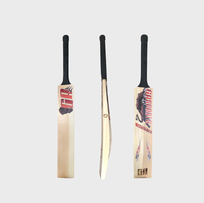 Panther English Willow Cricket Bat GA