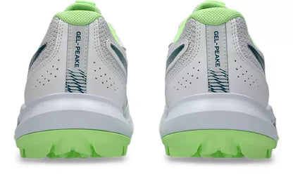 Asics Gel Peake 3 Cricket Shoe