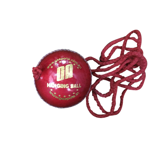 GA Cricket Hanging Ball